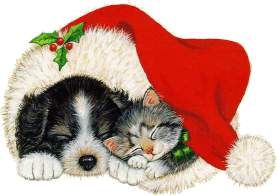 Puppy and Kitten in Xmas Hat